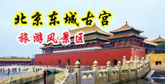 九哥草逼中国北京-东城古宫旅游风景区